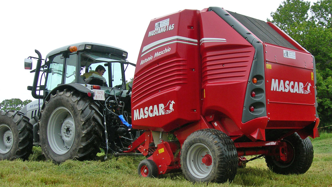 AMV Design Mascar maschio mustang 165